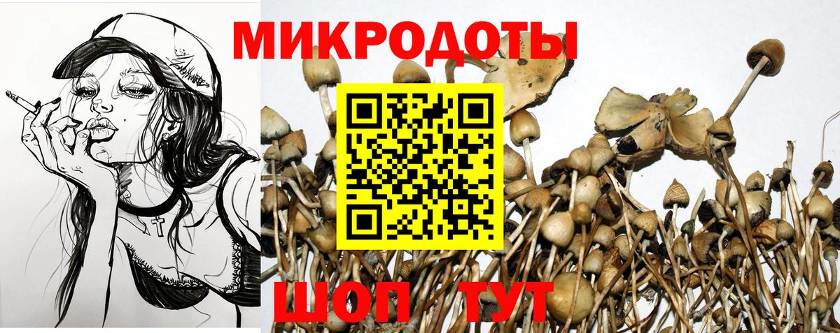 как найти закладки  Вход с VPN  Керчь  Галлюциногенные грибы Cubensis  Псилоцибиновые грибы прущие грибы 